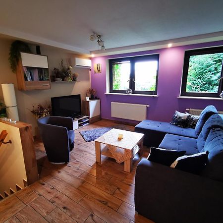 Apartament Aldi Bielsko-Biała Esterno foto
